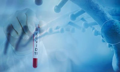 ¡Voluntario de vacuna Covid de AstraZeneca muere!