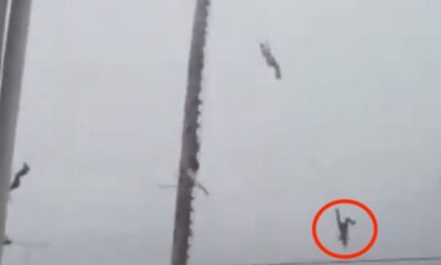 ¡Volador danzante cae 10 metros en Hidalgo!