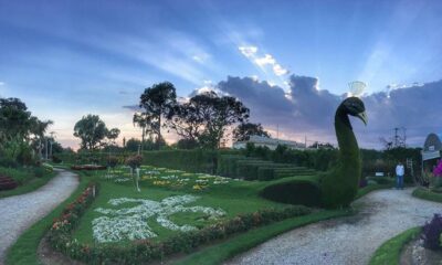 Jardín Mágico, Atlixco