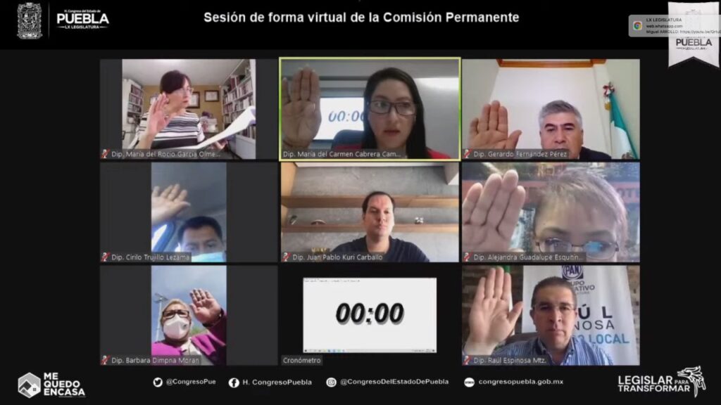 Congreso estatal aprueba exhorto para implementar terapia asistida con animales