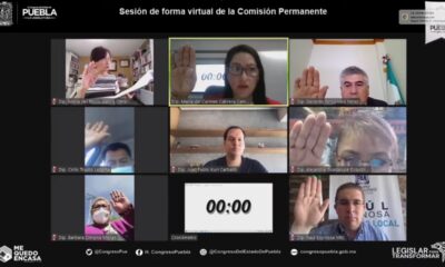 Congreso estatal aprueba exhorto para implementar terapia asistida con animales