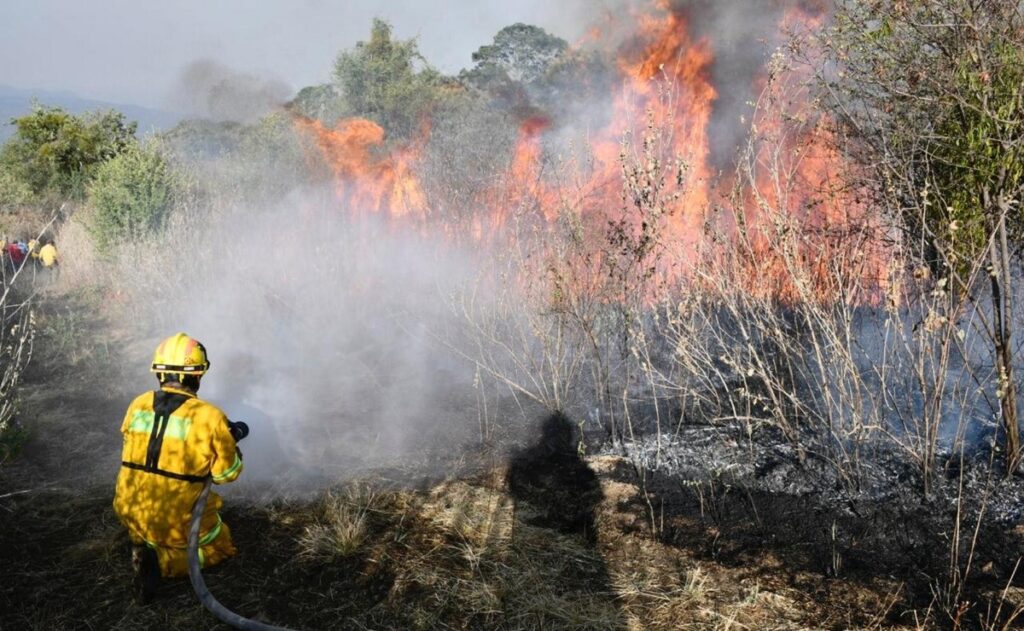 CONAFOR reporta 52 incendios forestales en todo el país