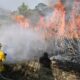 CONAFOR reporta 52 incendios forestales en todo el país
