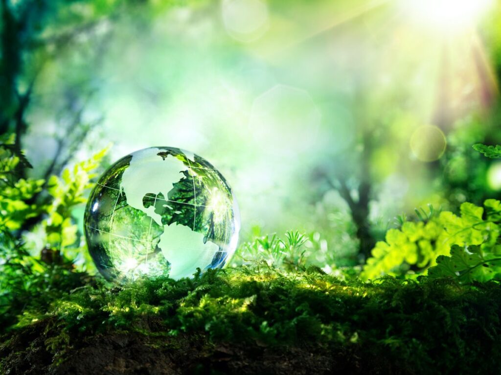 22 de abril Día Internacional de la Madre Tierra