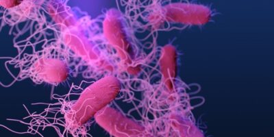 Crean 'píldora viva' para tratar infecciones resistentes a antibióticos