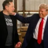 donald trump, elon musk, campaña, democratas, republicanos, eua, noticias, estados unidos, elecciones estados unidos, noticias, hoy