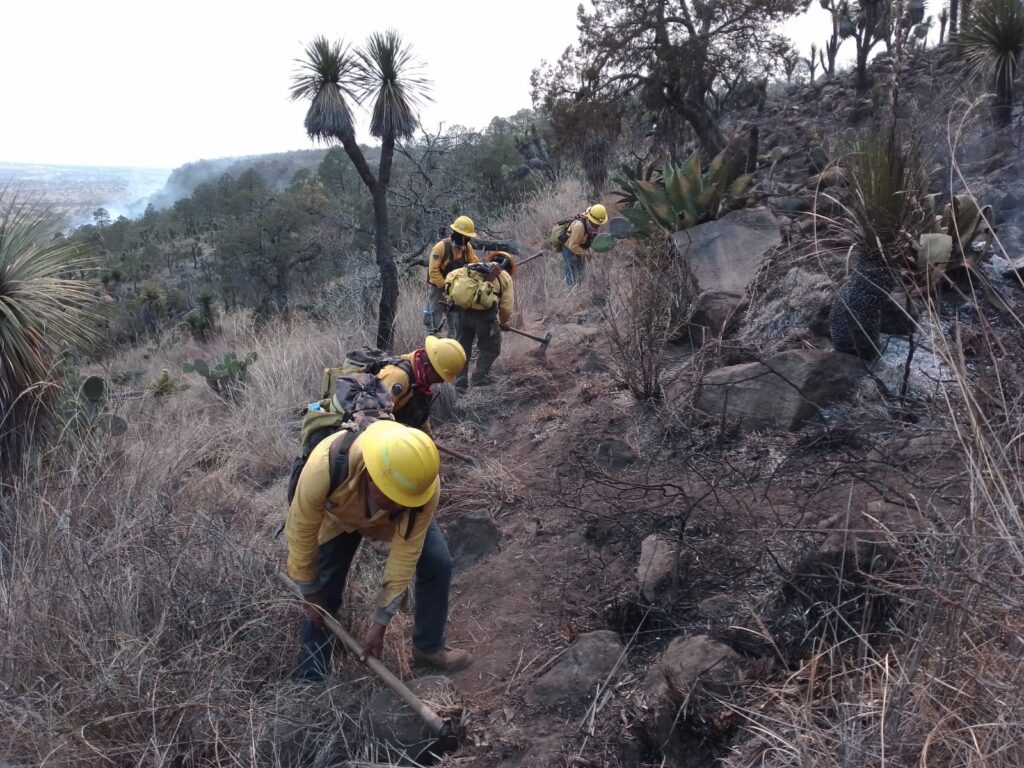 AlejandroArmenta, IncendiosPuebla, RespuestaRápida, ProtecciónAmbiental, CoordinaciónInstitucional