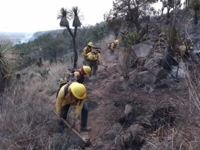 AlejandroArmenta, IncendiosPuebla, RespuestaRápida, ProtecciónAmbiental, CoordinaciónInstitucional