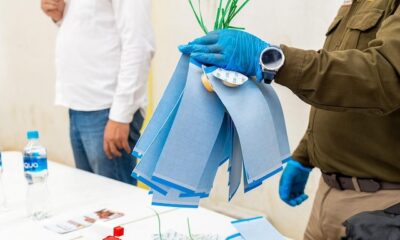 Médicos veterinarios implementan acciones contra plaga de gusano barrenador en Puebla
