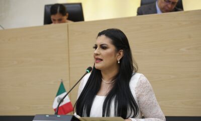 Presenta Delfina Pozos exhorto para construir e implementar una estrategia de seguridad