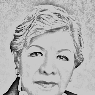 Morena se Alista Ante una Oposición Lenta