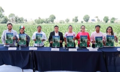 Todo listo para la Feria del Nopal