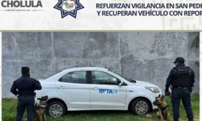Policias de Cholula aseguran vehículo robado 