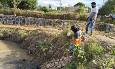 Gobierno de San Pedro Cholula realiza jornada de limpieza y retiro de residuos solidos