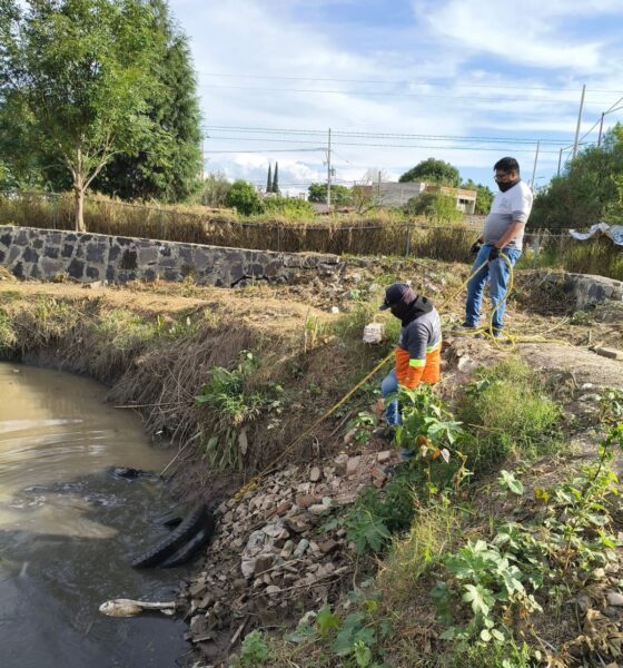 Gobierno de San Pedro Cholula realiza jornada de limpieza y retiro de residuos solidos