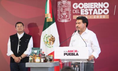 Estrategia en marcha: protegen la Sierra Norte contra desastres