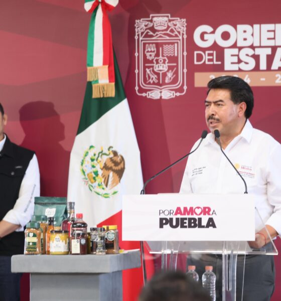 Estrategia en marcha: protegen la Sierra Norte contra desastres