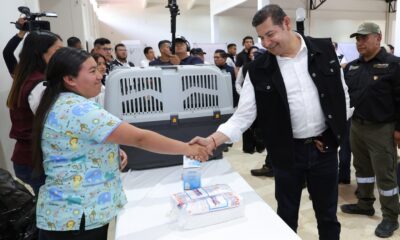 Soberanía alimentaria real: El plan de Armenta para transformar la Sierra Norte