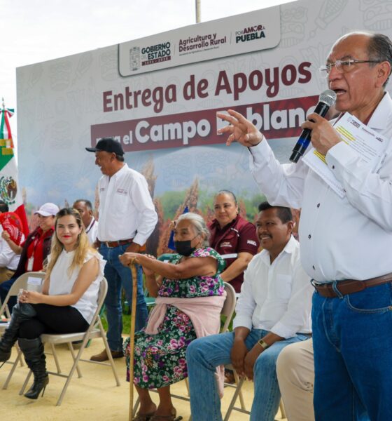 Entregan más de 5 mil bultos de sorgo a productores de la Mixteca.