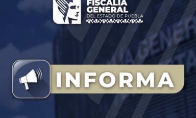Video viral desata investigación de la FGE por disparos a perritos en Puebla