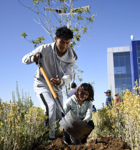 Jornada de plantación en CU2