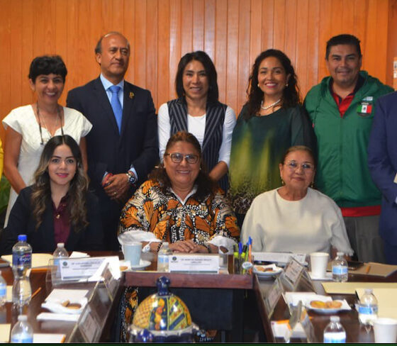 La diputada federal Rosario Oriozco, nueva presidenta de la Comisión de Educación.