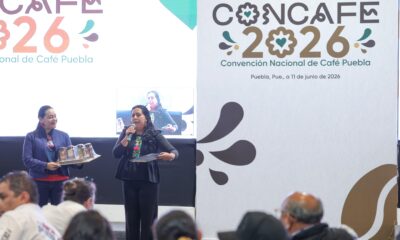 Puebla será el polo de producción del Café Bienestar