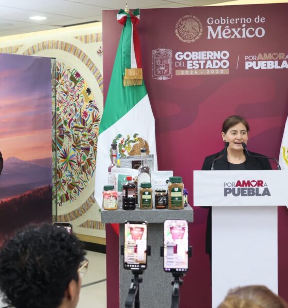 Puebla planea comprar 3 mil autos eléctricos Olinia y amplía su participación en la industria de semiconductores