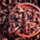Insectos comestibles  que forman parte del patrimonio biocultural de San Pedro Cholula