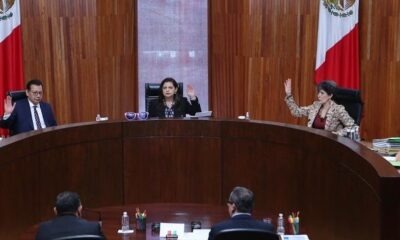 INE archiva investigaciones contra Morena y Movimiento Ciudadano por corrupción