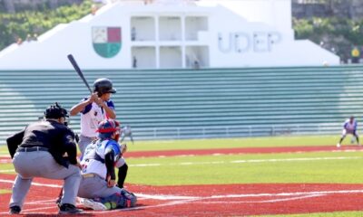 UDEP abrirá academias de beisbol en los municipios en busca de talentos