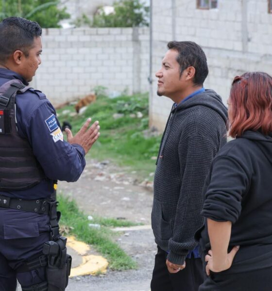 Más de 220 elementos despliegan operativo aire-tierra en Puebla; refuerzan vigilancia en zonas clave