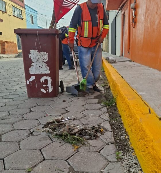 Tonantzin Fernández pone en marcha el programa «Barriendo tu Calle»