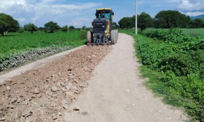 Gobierno de Puebla rehabilita 26.5 kilómetros de caminos saca cosechas en Xochitlán Todos Santos