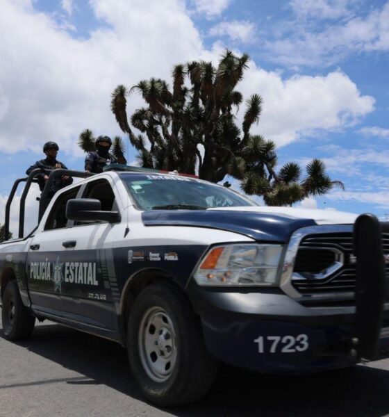 Fuerzas de seguridad detienen a 133 personas en los primeros días de julio
