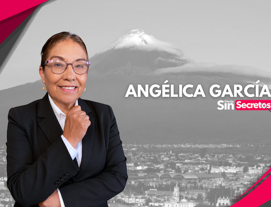 La depuración policial y la lucha contra el crimen organizado
