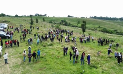 Magna jornada de reforestación en el Cerro Zapotecas
