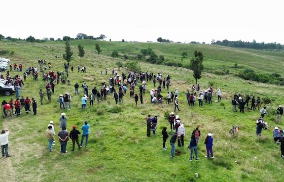 Magna jornada de reforestación en el Cerro Zapotecas
