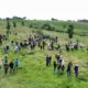 Magna jornada de reforestación en el Cerro Zapotecas