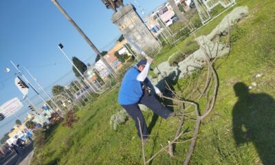 Tonantzin Fernández ocupada en el mejoramiento de parques y áreas verdes de Cholula