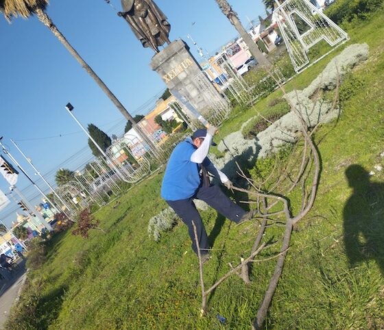 Tonantzin Fernández ocupada en el mejoramiento de parques y áreas verdes de Cholula
