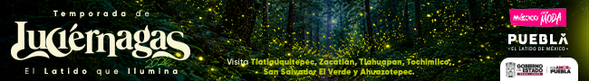 Publicidad