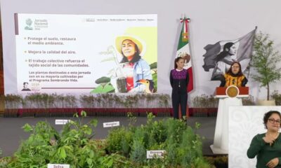Puebla será sede del arranque nacional de la reforestación encabezada por Claudia Sheinbaum