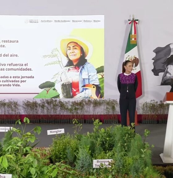 Puebla será sede del arranque nacional de la reforestación encabezada por Claudia Sheinbaum
