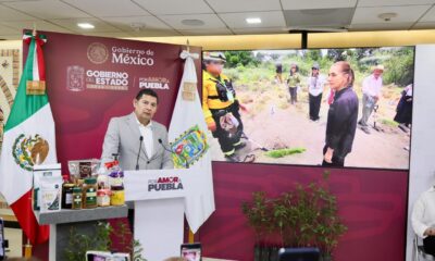 Izta-Popo, eje de la reforestación en Puebla