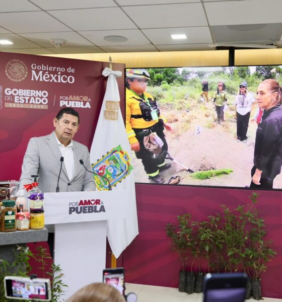 Izta-Popo, eje de la reforestación en Puebla