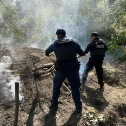 SSP inhabilita 6 hornos clandestinos y clausura predios por delitos ambientales
