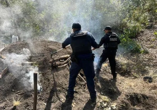 SSP inhabilita 6 hornos clandestinos y clausura predios por delitos ambientales