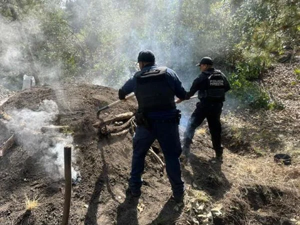 SSP inhabilita 6 hornos clandestinos y clausura predios por delitos ambientales