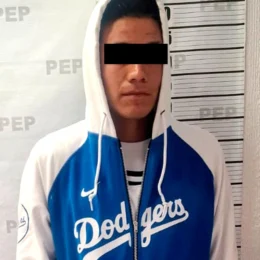 Recupera Policía Estatal 165 ejemplares de oyamel